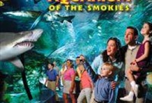 Ripley's Aquarium of the Smokies